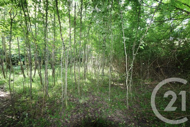 Maison à vendre - 9 pièces - 220 m2 - Mauperthuis - 77 - ILE-DE-FRANCE