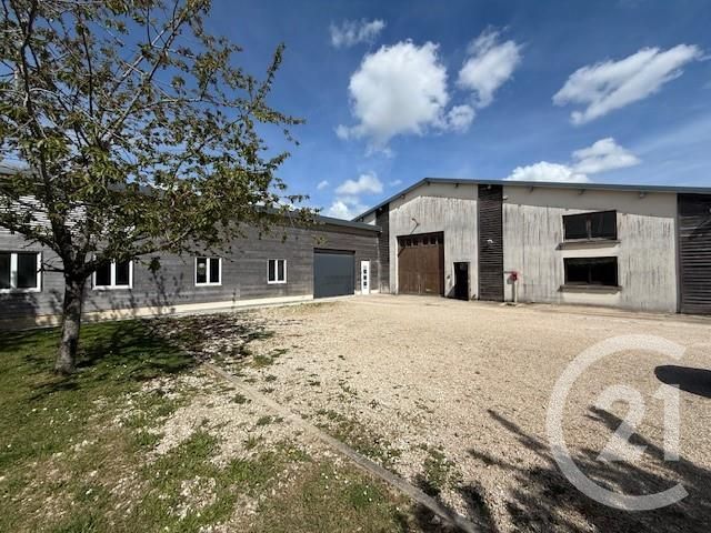 terrain - AMILLIS - 77